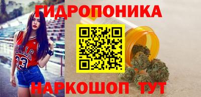 наркотики Новозыбков