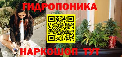 наркотики Новозыбков