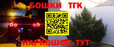 дмт Новодвинск