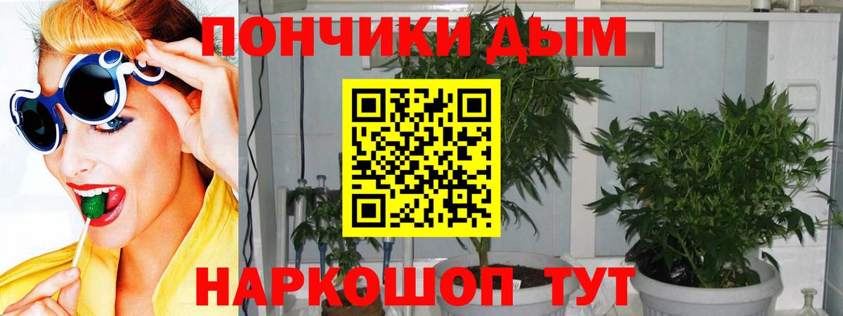 МАРИХУАНА конопля Тосно